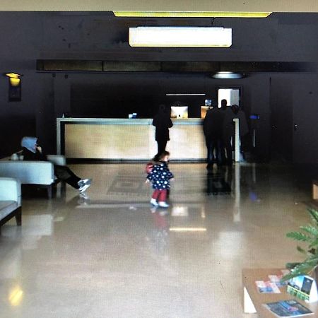 Irina Apartment 1 باتومي المظهر الخارجي الصورة